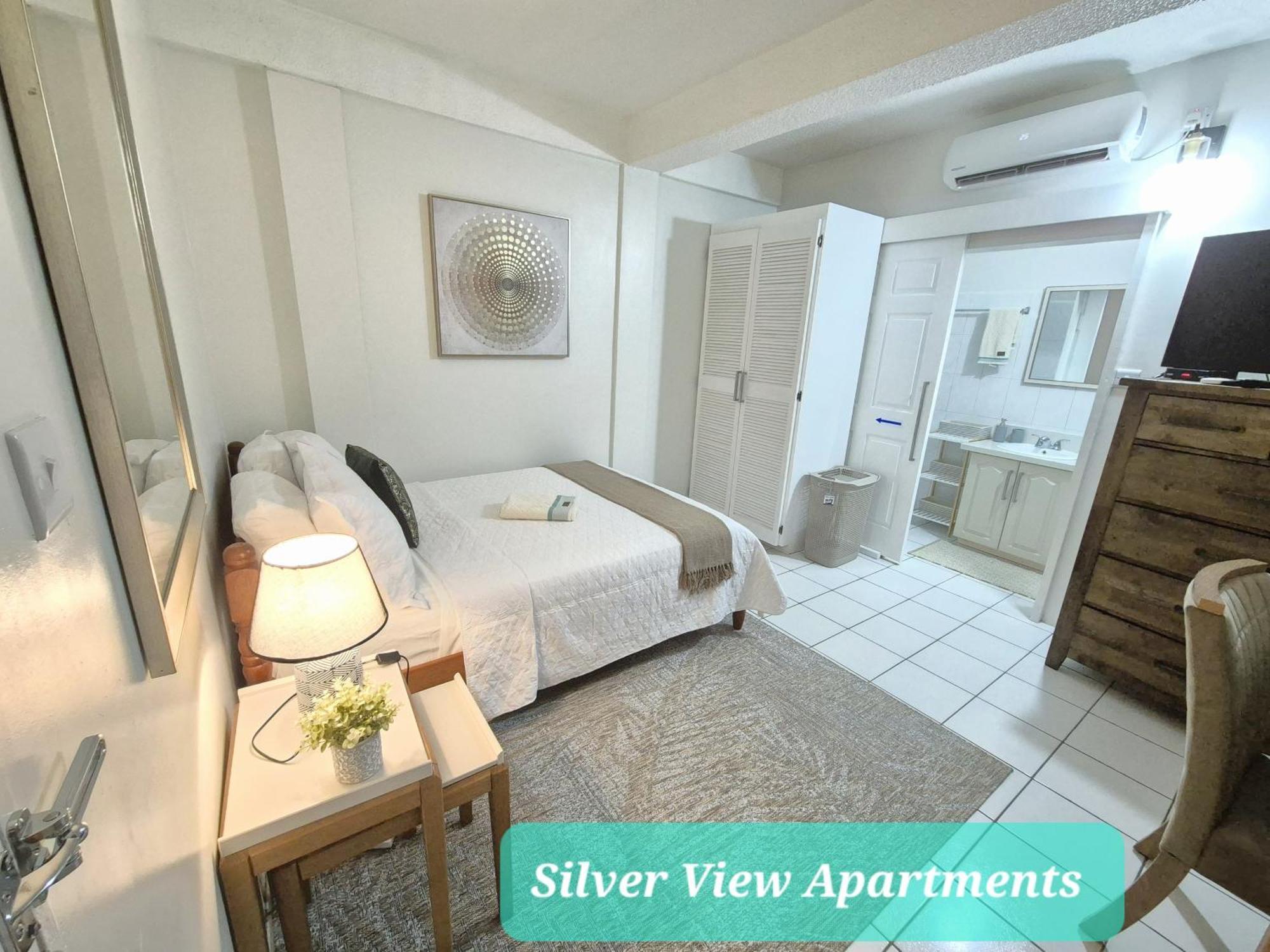 Silver View Apartments St. George's Exterior foto